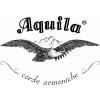 Icon Aquila